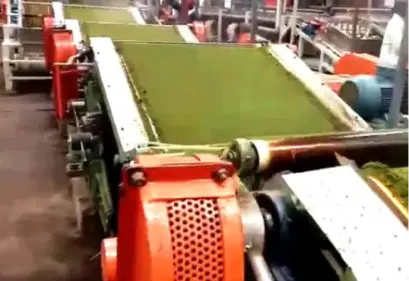 What We Do